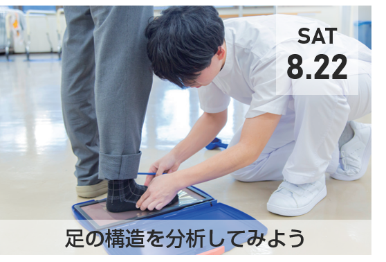 イメージ画像